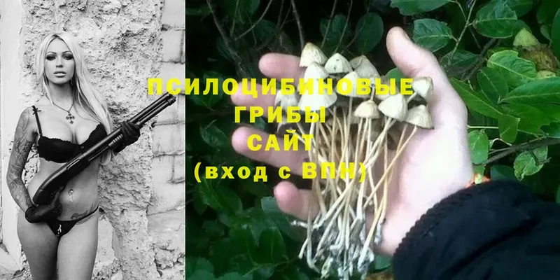 Псилоцибиновые грибы Magic Shrooms  Кирс 